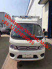 best seller- FOTON XIANGLIN M1 gasoline refrigerated truck for sale, Factory sale good cheapest refrigerated minivan