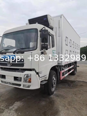 Direct Sale Day-Old Chick Transported Truck for 40 000 Babychicks transportation slaughterhouse poultry chicks van truck