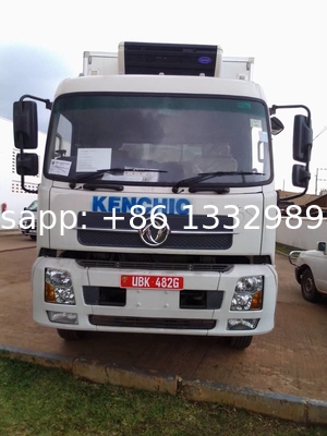 Direct Sale Day-Old Chick Transported Truck for 40 000 Babychicks transportation slaughterhouse poultry chicks van truck