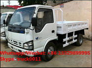 HOT SALE! cheapest price ISUZU 4*2 LHD mini dump tipper truck, Wholesale bottom price ISUZU diesel 3tons tipper vehicle