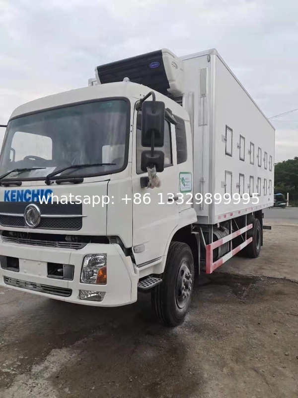 Direct Sale Day-Old Chick Transported Truck for 40 000 Babychicks transportation slaughterhouse poultry chicks van truck